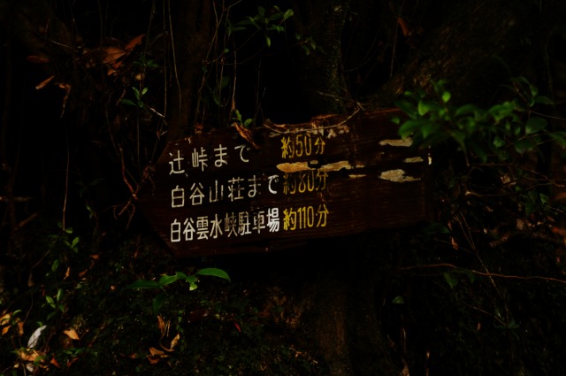 d0079278_1845967.jpg