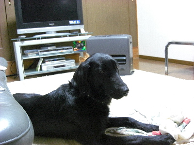 d0116578_23485046.jpg