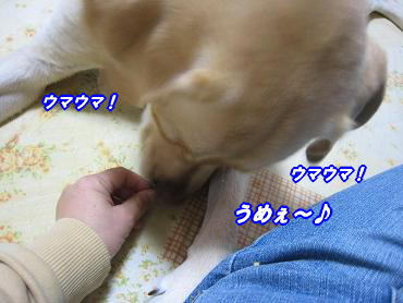 c0028792_2329127.jpg