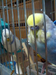 d0131293_2011846.jpg