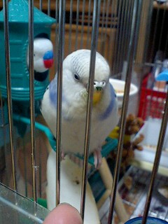 d0131293_2011859.jpg