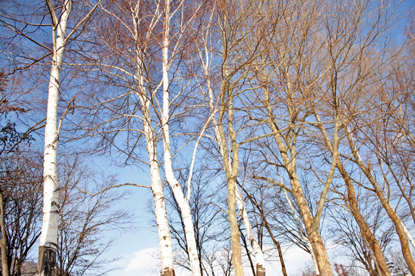 f0001895_15521646.jpg
