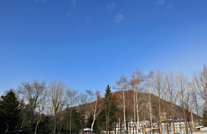 f0001895_15533879.jpg