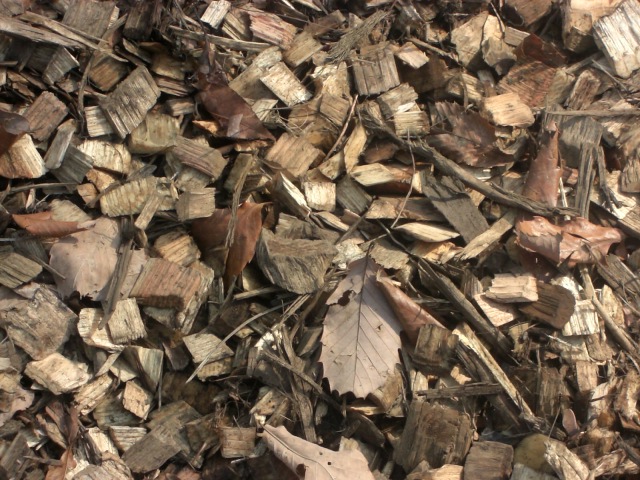 c0119200_2125312.jpg