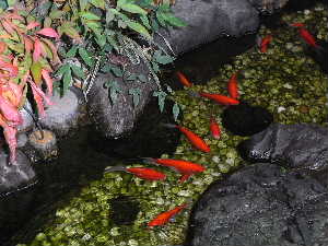 e0046112_4555464.jpg