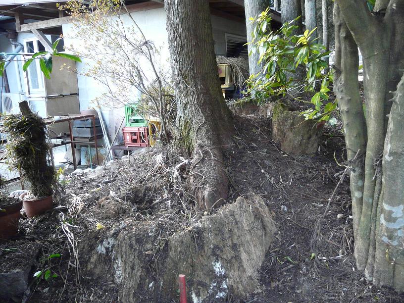 c0086014_21552974.jpg