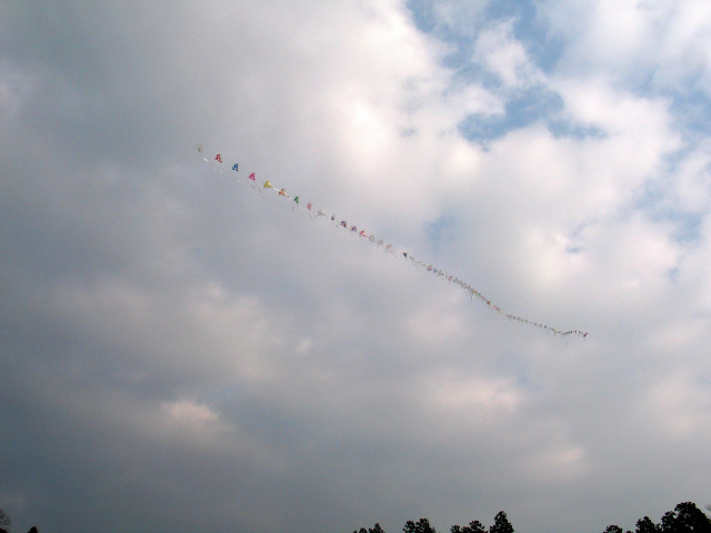 f0107315_1754120.jpg