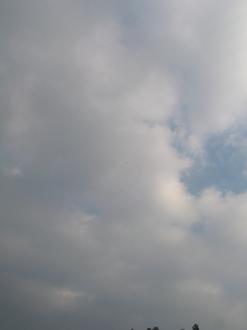 f0107315_17565034.jpg
