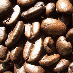 c0036617_1855436.jpg