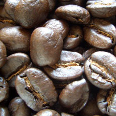 c0036617_18561294.jpg