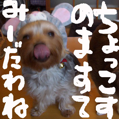 c0036617_18571928.jpg