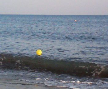 f0036223_19385490.jpg