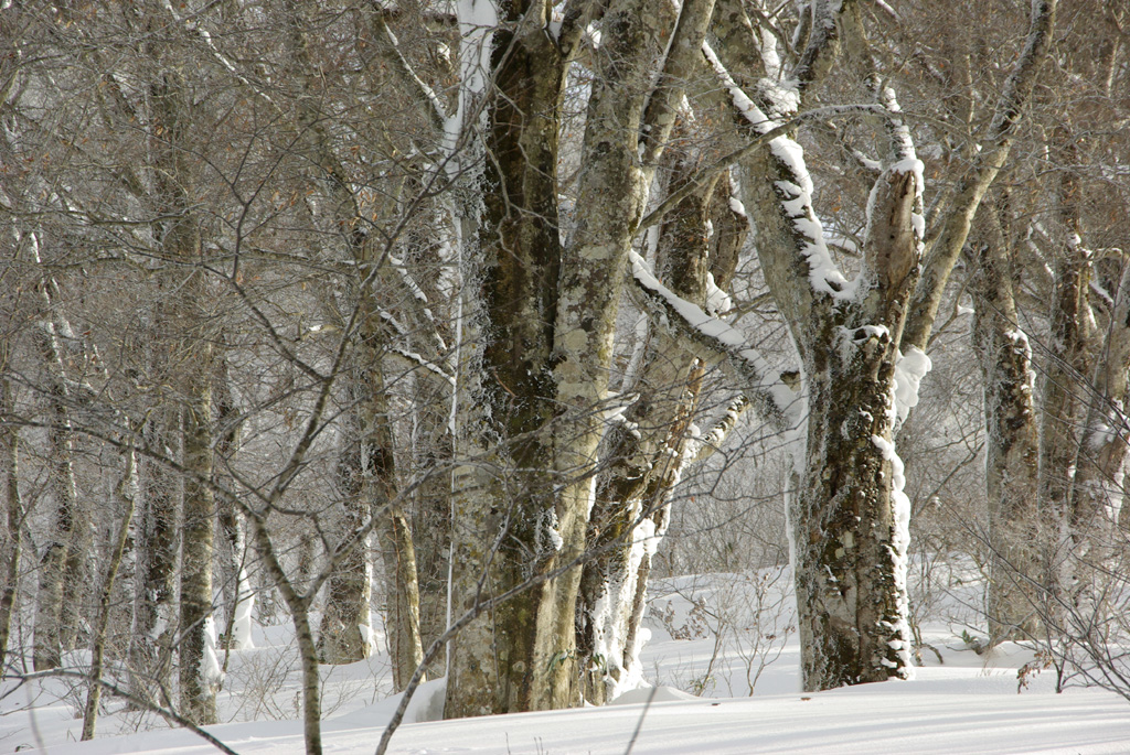 b0062024_21141275.jpg