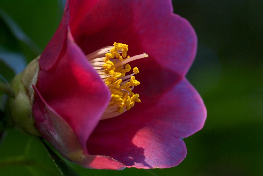 d0053930_6241595.jpg