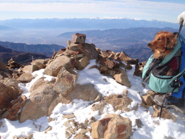 e0120131_21345420.jpg