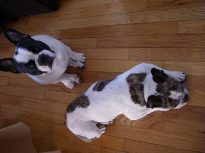e0008833_12203178.jpg