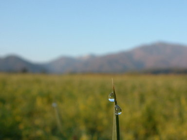 b0024339_23495024.jpg