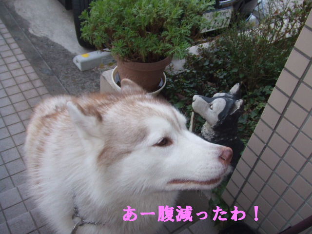 e0121548_19504926.jpg
