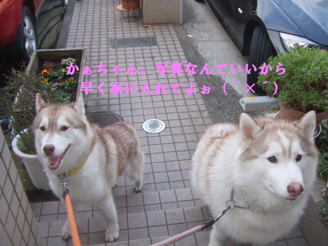e0121548_20123459.jpg
