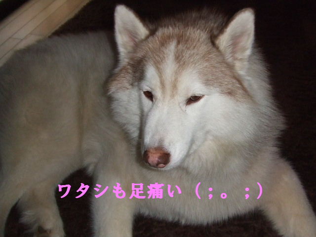 e0121548_2254259.jpg