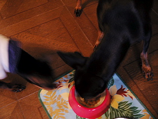 c0123149_10172356.jpg