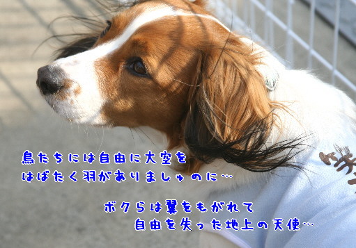 d0013149_23443453.jpg