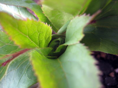 c0147952_23134869.jpg