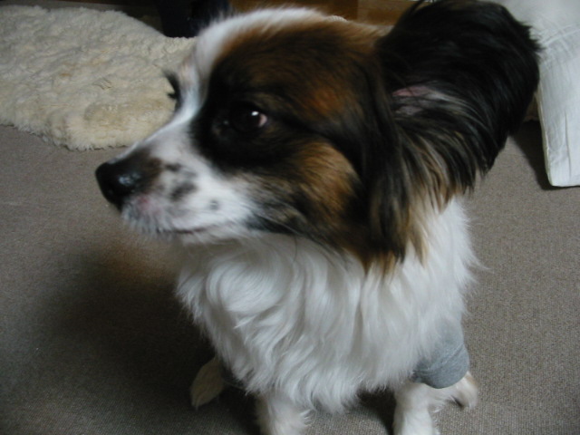 f0122259_23322133.jpg