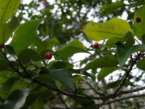 c0042869_2134072.jpg