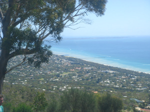 f0008573_2149259.jpg