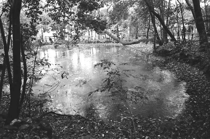 c0131875_331423.jpg