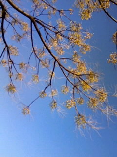 c0032580_21231686.jpg