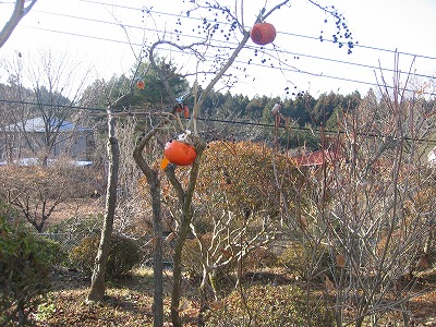 a0038882_9324756.jpg