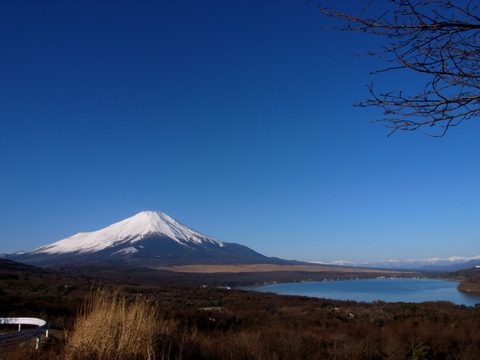 a0043982_2052584.jpg