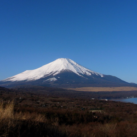 a0043982_2053335.jpg