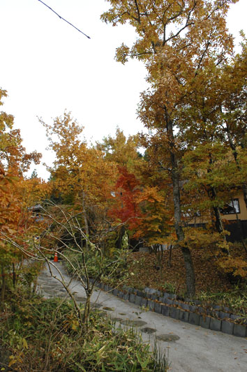 f0112087_1743630.jpg