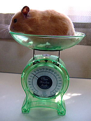 c0150193_14471613.jpg