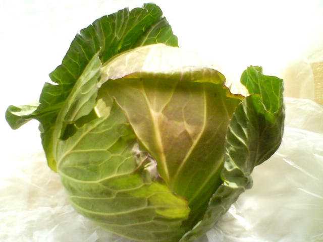 f0077595_17491814.jpg
