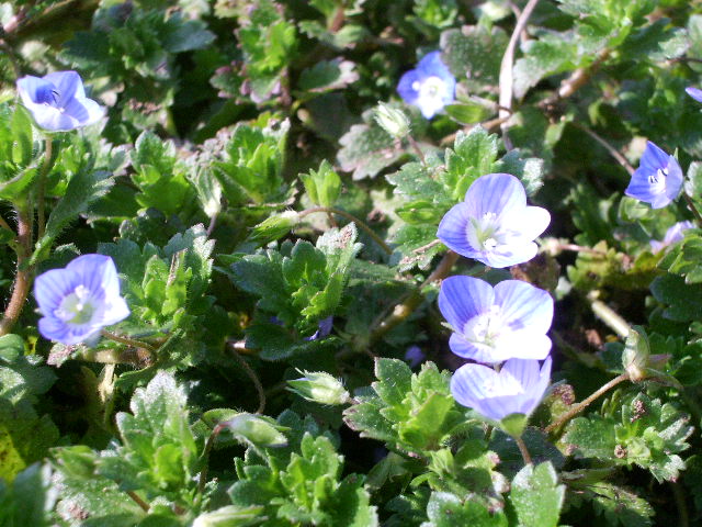 e0025300_11294722.jpg