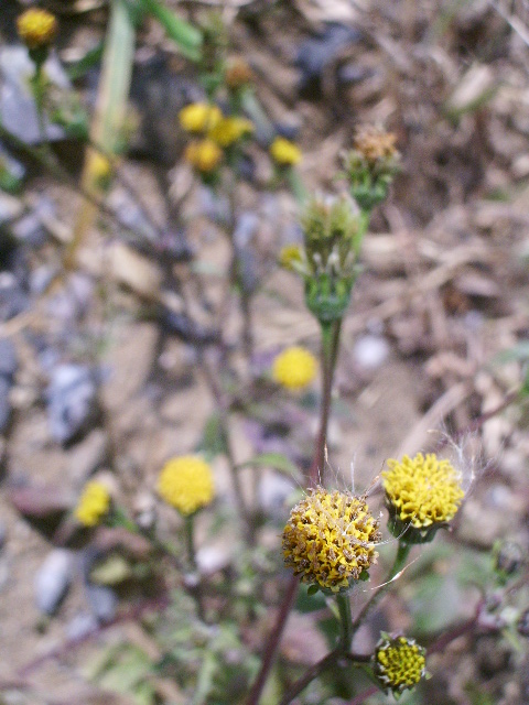 e0025300_11312171.jpg