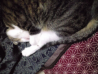 c0035001_21193259.jpg