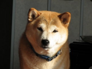 f0020302_20352582.jpg