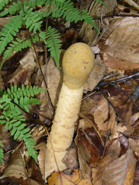 b0050305_21363713.jpg