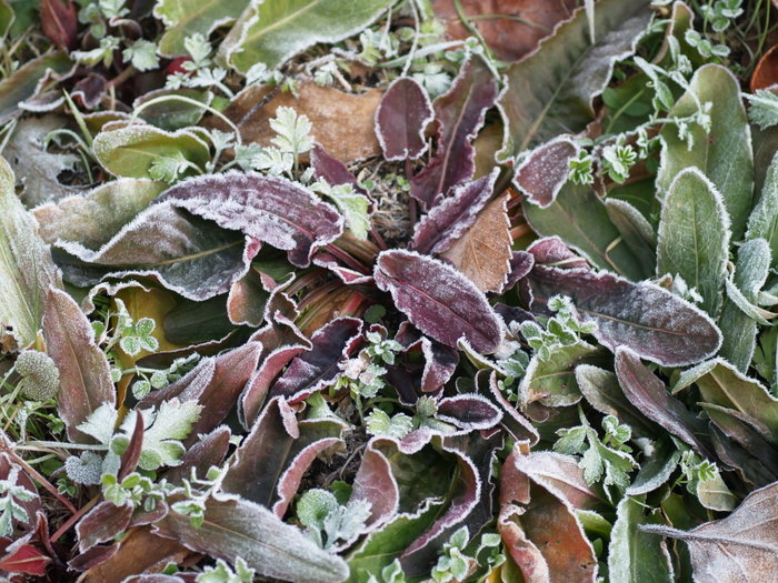 c0116915_23422494.jpg