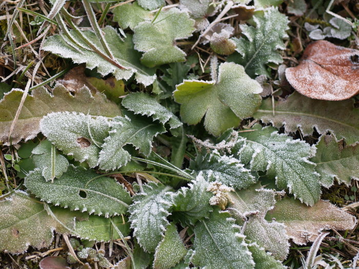 c0116915_23432367.jpg