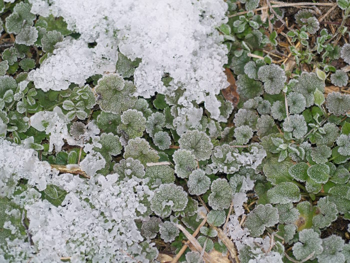 c0116915_23503317.jpg