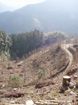 f0092416_2253233.jpg