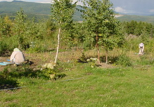 d0143719_1095115.jpg