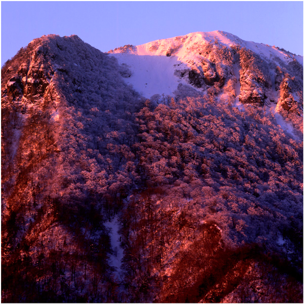 c0143722_15265430.jpg