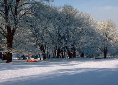 a0046429_2393286.jpg